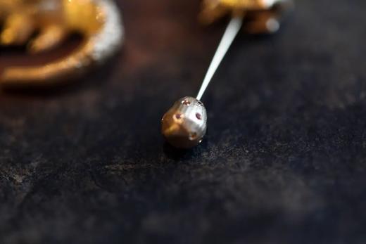 富足丰美的共生｜南美洲快乐小伙伴们 商品图7