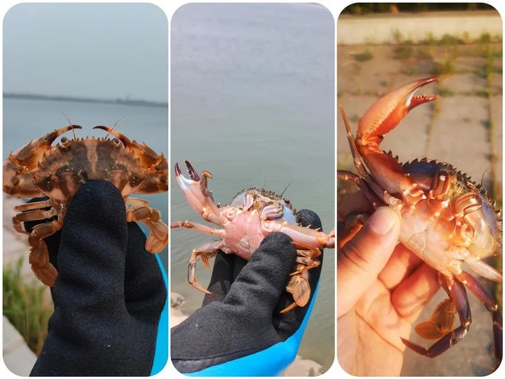 微信图片_20230618191436.jpg 微信图片_20230618191436.jpg