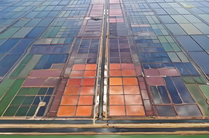 62d2cb8c-8bc4-4ee6-b20f-3ae1025ffa65.jpg 62d2cb8c-8bc4-4ee6-b20f-3ae1025ffa65.jpg