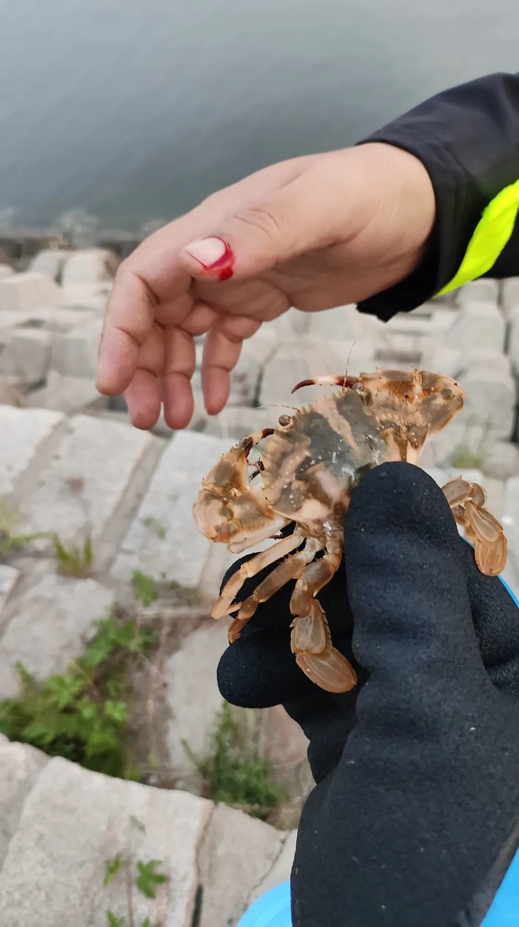 微信图片_20230618203718.jpg 微信图片_20230618203718.jpg