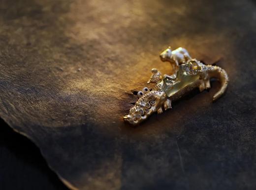 富足丰美的共生｜南美洲快乐小伙伴们 商品图4