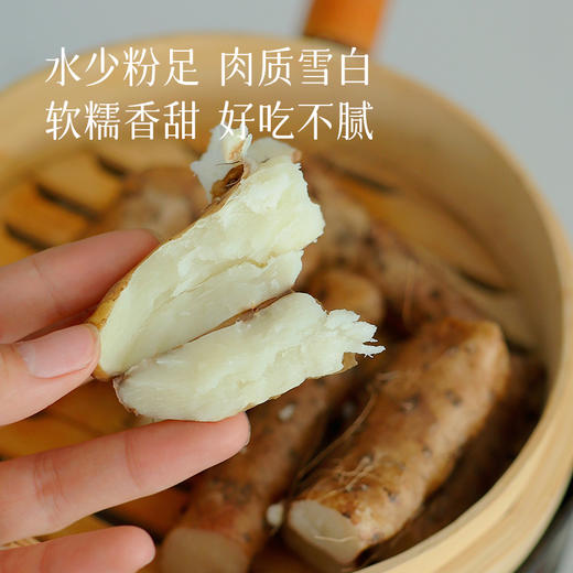 【新鲜铁棍山药上市】正宗铁棍山药只选河南焦作特有垆土地种植，目前山药是霜降前，口感更鲜嫩~ 商品图4