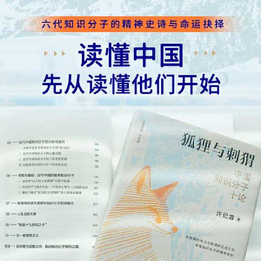 狐狸与刺猬:中国知识分子十论 商品图2