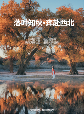 【西北】秋色深处·奔赴西北 额济纳胡杨林8天7晚