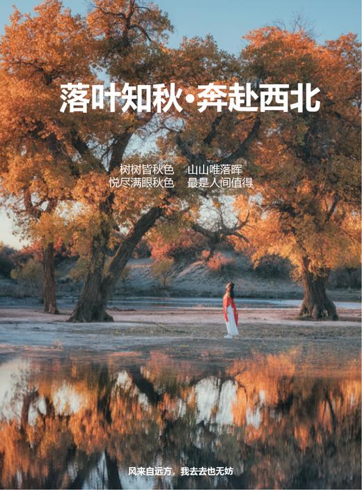 【西北】秋色深处·奔赴西北 额济纳胡杨林8天7晚 商品图0
