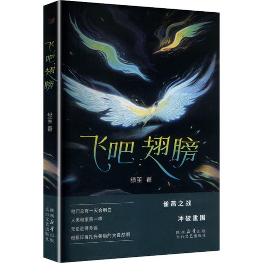 飞吧，翅膀 商品图0