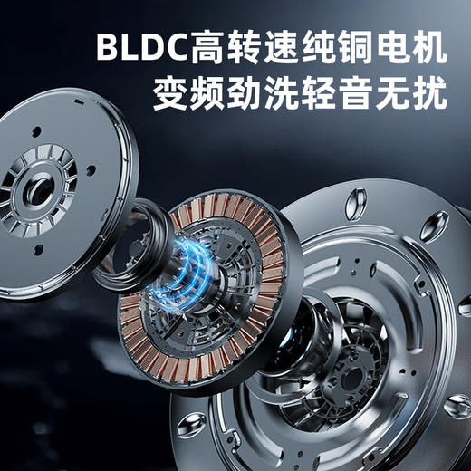 德国派克新品50公斤波轮洗衣机全自动商用大容量宾馆酒店家用 紫光+风干 商品图3