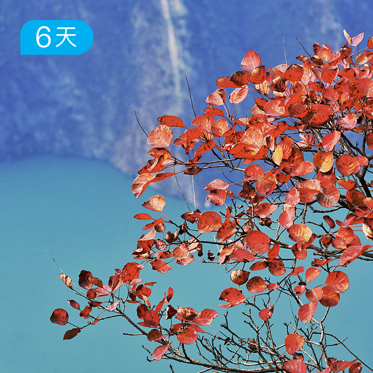 三峡红叶徒步节｜秋冬爆款赏秋路线 37公里徒步 赠价值699元Deuter 21L背包 6日