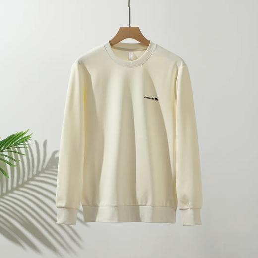 有质感的肌理打底衫外贸男装工厂剪标尾货早秋卫衣 商品图1