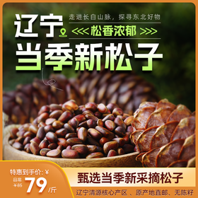 【分销】【大规格更划算】大自然的馈赠，东北松子  甄选当季新采摘松子，辽宁清源核心产区 、原产地直邮，确保新鲜无陈籽