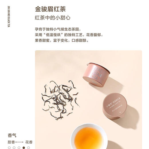 小罐茶莫兰迪彩罐18罐组合茶(方盒)【LXZQSW3.0】 商品图4