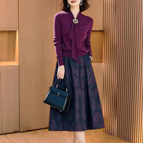 2025秋冬气质百搭印花半身裙修身显瘦遮肚套装G339A98121080