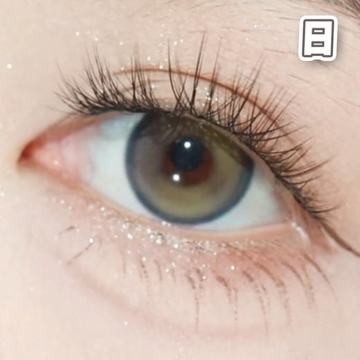 #Double Gray 仙人掌班戟 灰绿色 14.5mm【10片装】进口日抛 商品图3