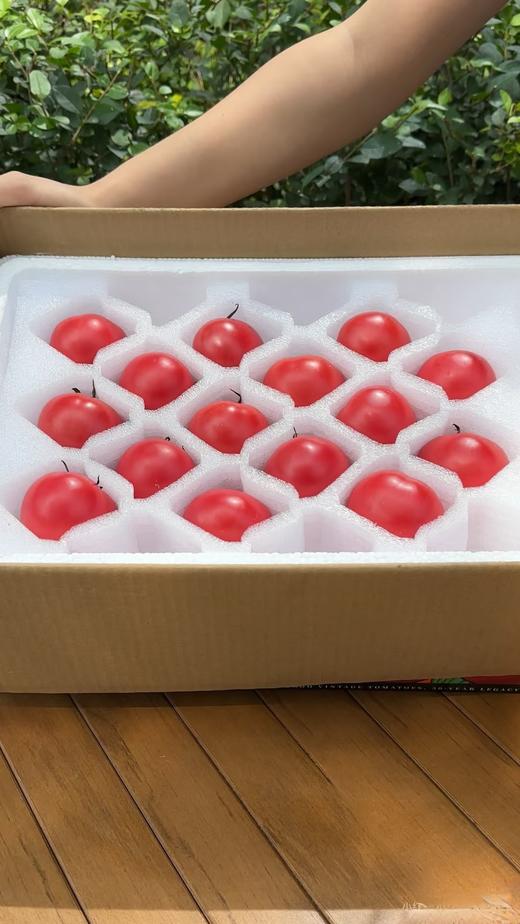 【玫瑰番茄】带有花香 水果番茄中的高端品种！！  自然成熟 果肉脆甜 酸甜多汁！ 商品图2