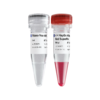 HisyGo All-in-One RT Red SuperMix for qPCR (+gDNA Wiper) 商品缩略图0