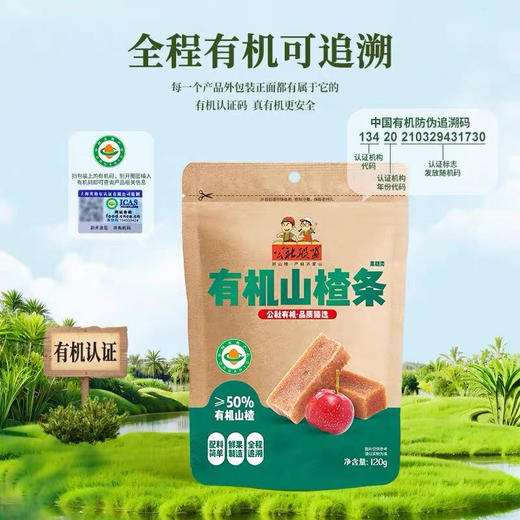 公社联盟有机山楂条120g 商品图0
