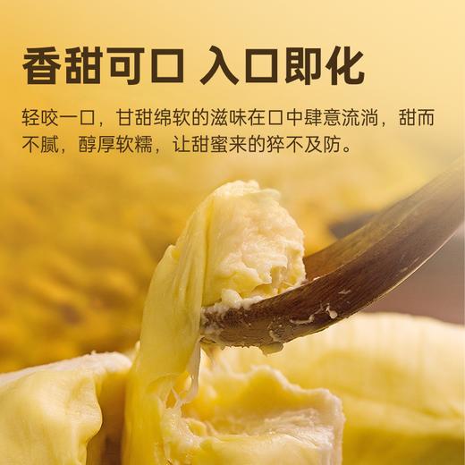 『叻油榴』泰国金枕榴莲无核A果果肉冷冻新鲜烤榴莲水果100g/盒自然树熟 商品图4