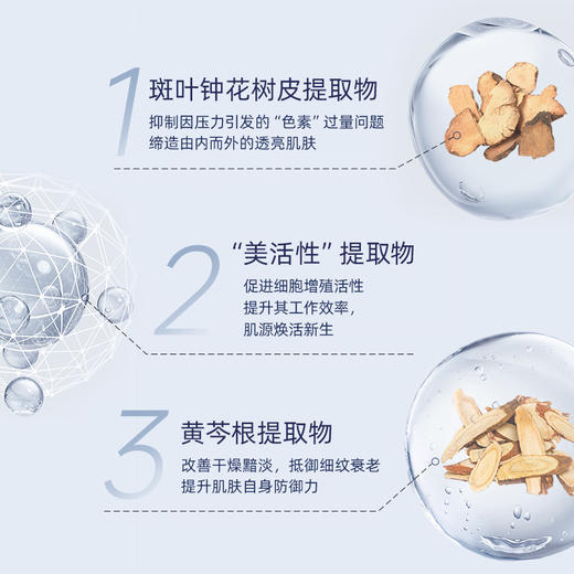 Majesta 玛嘉施特 娜丽丝院线多效精华乳液 80ml 商品图1