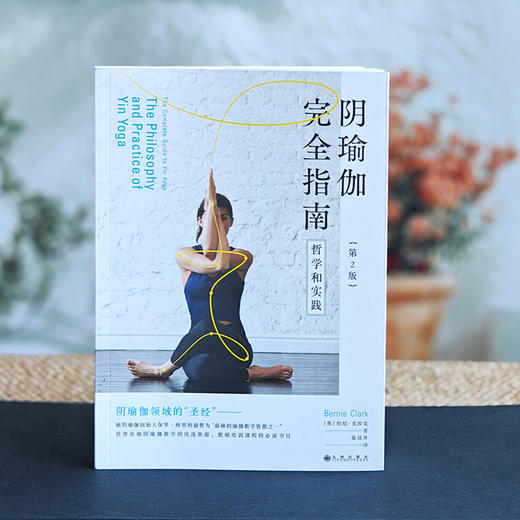阴瑜伽完全指南（第2版）：哲学和实践 商品图1