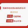 上市陪跑：企业上市前必做的100件事 商品缩略图4