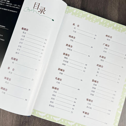 儿童昆虫百科全书 商品图2