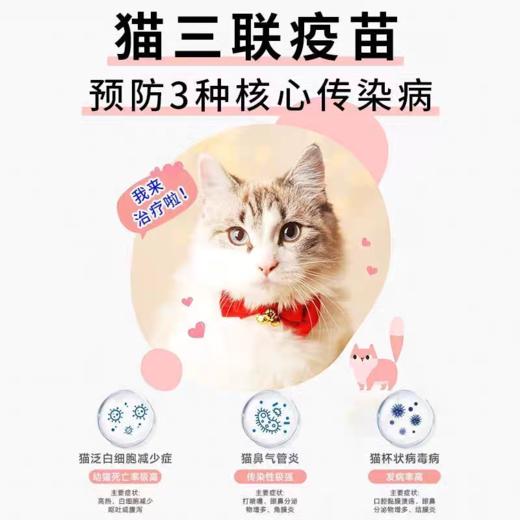金喵乐丨猫三联疫苗 商品图3