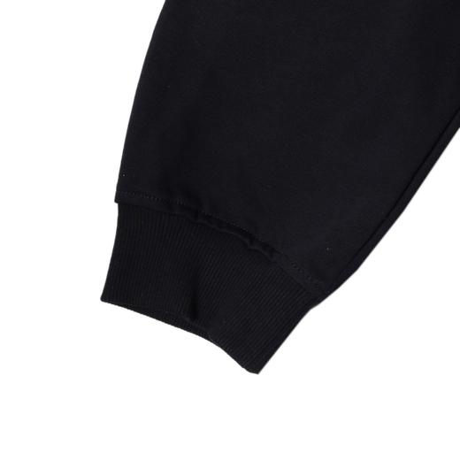 D902SDSA男士秋冬新款痞帅男装美式简约纯色圆领卫衣百搭时尚套头上衣 商品图4