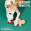 zeze姜饼人洁齿啃咬玩具-B（包邮） 商品缩略图3