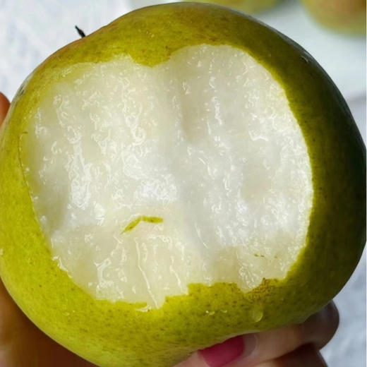 【香甜爆汁！】山西玉露香梨 4.5斤/8.5斤礼盒装 个头饱满，果肉嫩、汁水多、皮薄核小，脆甜爽口 商品图4