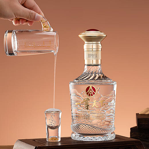 五粮液 52度 一尊天下礼盒 浓香型白酒 500ml*2瓶 商品图2