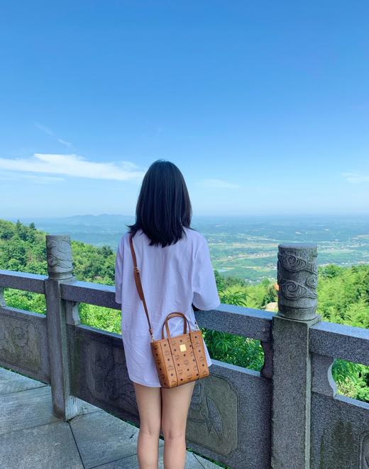 M&M经典款菜篮子 商品图12