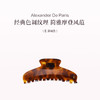 品牌直发 Alexandre De Paris 经典鲨鱼夹大号 E深褐色/W玳瑁色/N黑色 商品缩略图0