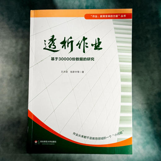 透析作业 基于30000份数据的研究 作业设计  教育变革的力量丛书 商品图1