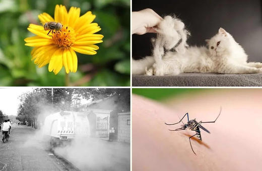 【多妈团购 美国Norvikon海豹油柳草凝胶修复神针】美国哈佛医学院研究中心研制！清凉，温合不刺激，抹一抹立马就不痒了、改善皮肤炎、各种疹、癣，通通消灭，治标治本，不反复-美初 商品图7