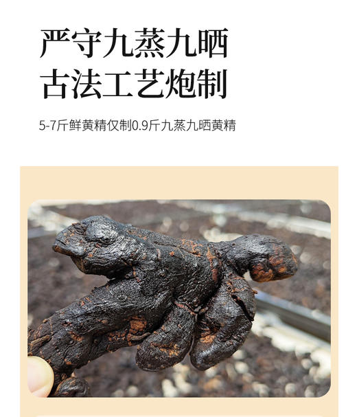 焉景有机九华黄精茶 商品图6