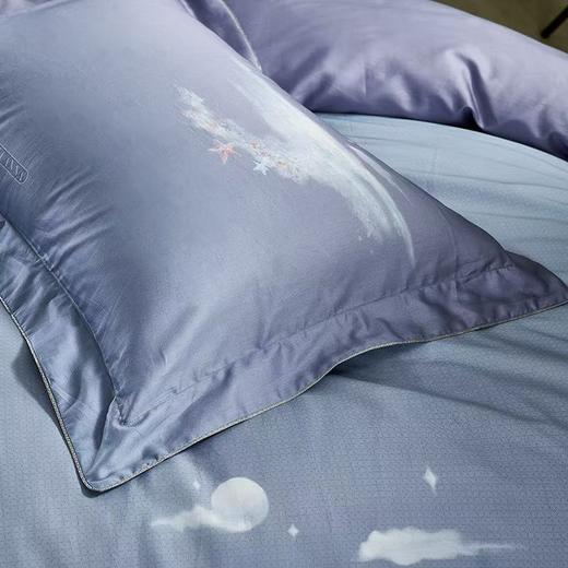 10楼 富安娜 独幅床单四件 大自然艺术家  星河拾光  吊牌价4380-4680元  活动价2199-2399元 商品图4