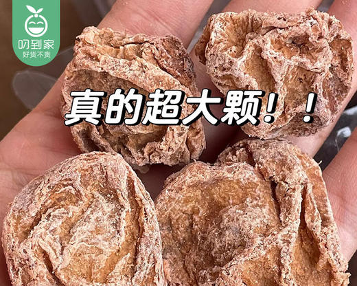 硕果田间手工话梅皇（350g/包）生产日期: 2月 商品图1