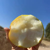 【香甜爆汁！】山西玉露香梨 4.5斤/8.5斤礼盒装 个头饱满，果肉嫩、汁水多、皮薄核小，脆甜爽口 商品缩略图5
