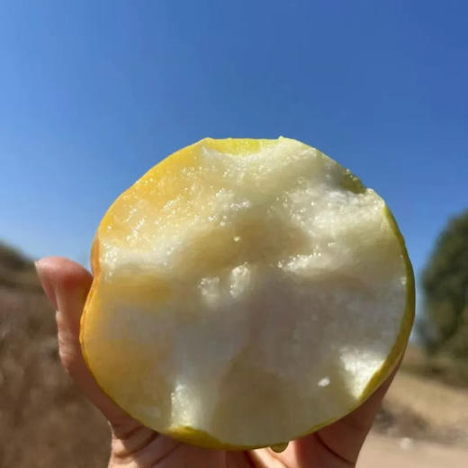 【香甜爆汁！】山西玉露香梨 4.5斤/8.5斤礼盒装 个头饱满，果肉嫩、汁水多、皮薄核小，脆甜爽口 商品图5