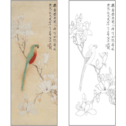 于非闇花鸟工笔画白描底稿《玉兰鹦鹉》临摹勾线高清打印稿FA26 商品图0