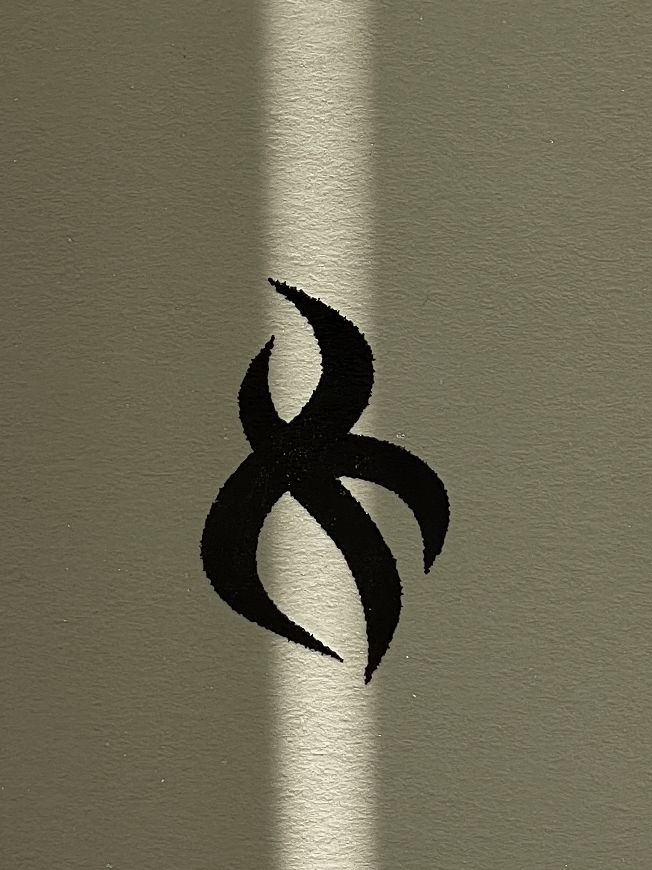 50ml常规瓶（缤嗅系列）