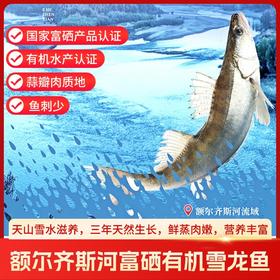 【顺丰冷链】新疆额尔齐斯河富硒有机雪龙鱼 淡水冷水鱼 无污染AWJM