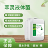萃灵液体菌 商品缩略图0