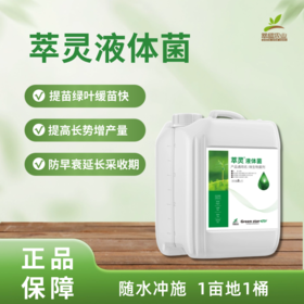 萃灵液体菌