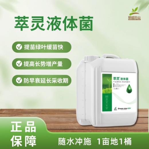 萃灵液体菌 商品图0