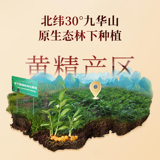 安徽九华山【九蒸九晒有机黄精果】180g/盒 8~10年 有机多花黄精   商品图1