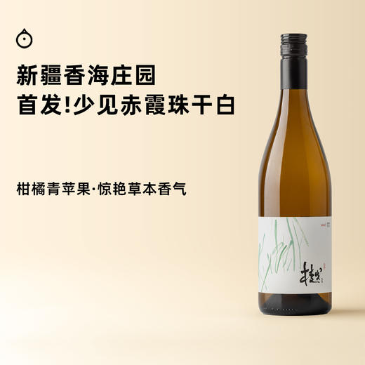 企鹅市集|新疆香海庄园 樾干白！青苹果刺梨 高挑酸度精准复杂度 少见赤霞珠干白 商品图0