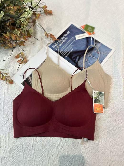 【门店同款】ENJOY秋季基础裹胸 164900911 商品图0