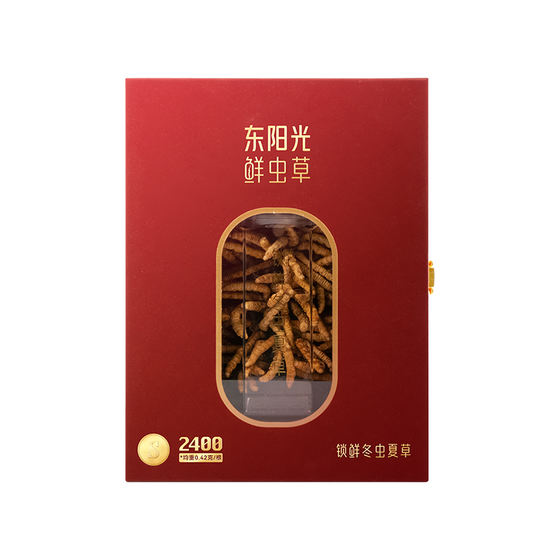 东阳光冬虫夏草 锁鲜虫草（S2400）60克装 2-3根/克 【锁鲜虫草 滋补礼盒】