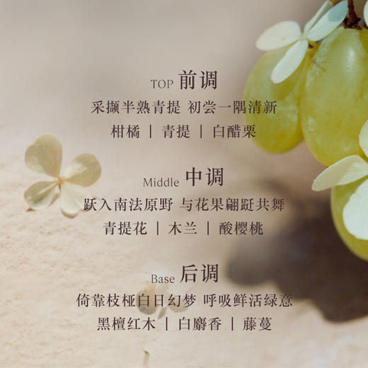 欧舒丹（L'OCCITANE）青提恋樱套装梦谭橙花身体乳沐浴露护手霜身体护理礼盒 手霜30ML 沐浴露身体乳250ML CDF 商品图2